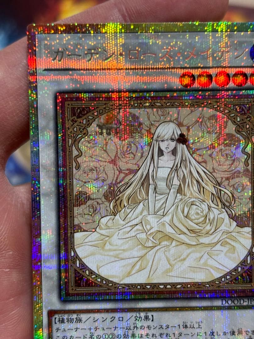 ガーデン・ローズ・メイデン【プリズマティック/☆5】　限定時間　早勝