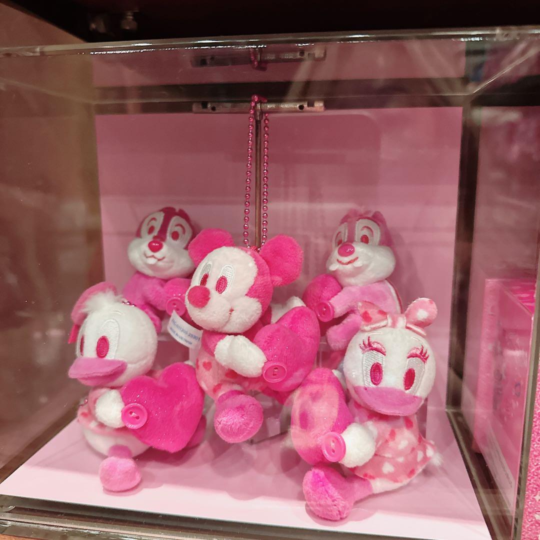 ディズニー ミニーのファンダーランド ぬいぐるみチャーム5個　コンプリート