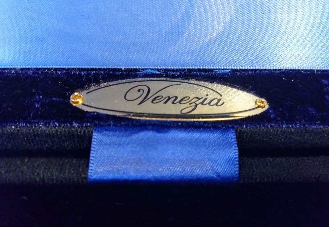 GEWA ゲヴァ　ヴァイオリンケース　美品　VENEZIA　4/4