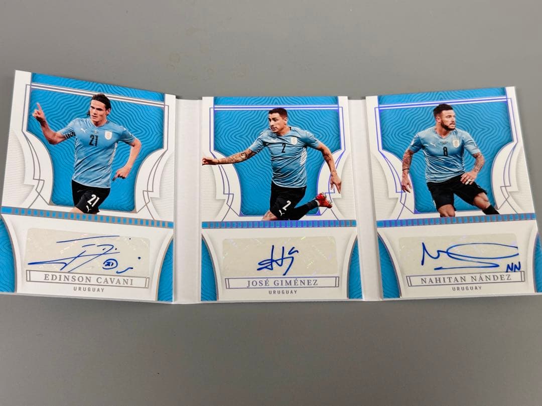 24/49 PANINI National Treasureウルグアイ3人サイン