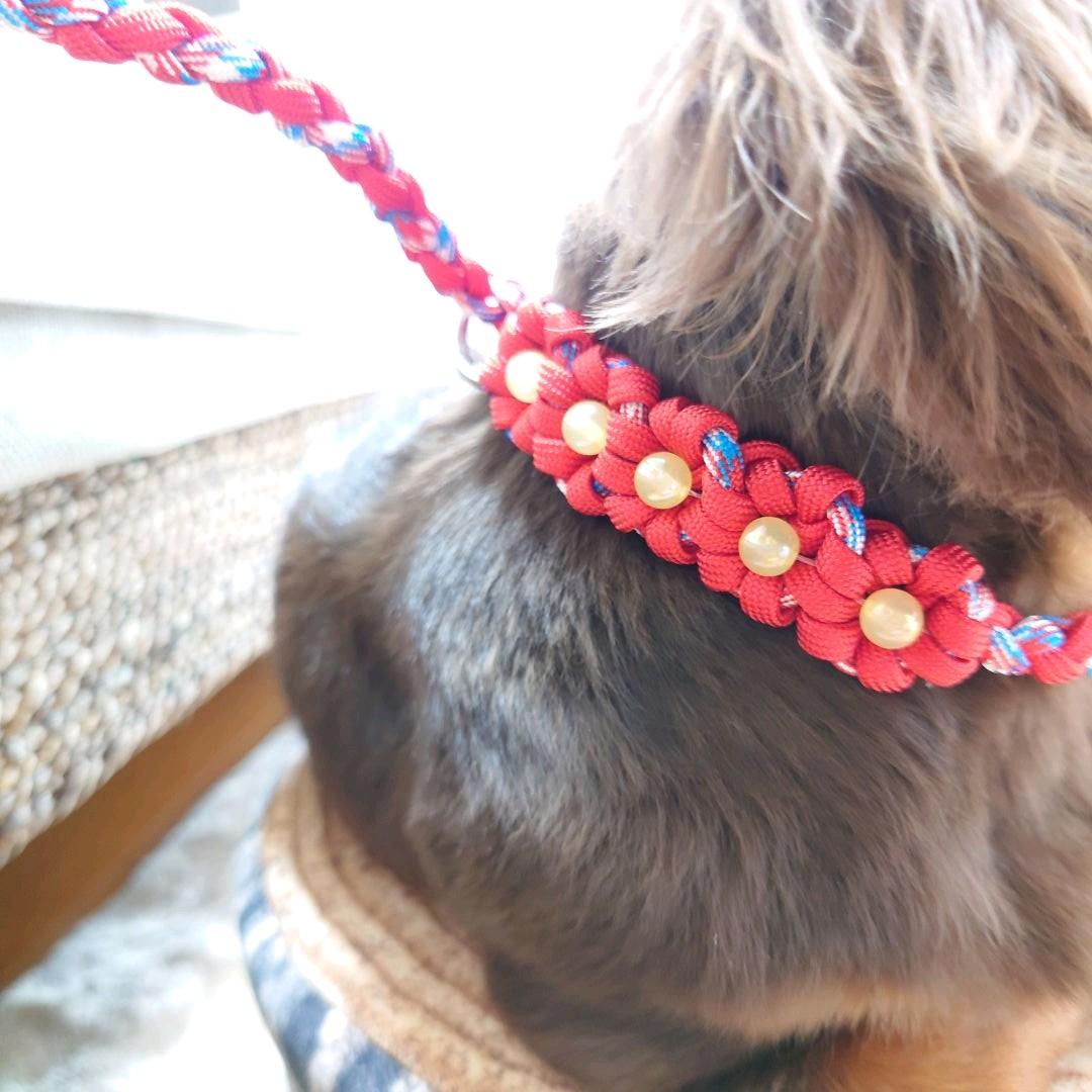 パラコードリード　スリップリード　首輪一体型リード　お花　№024