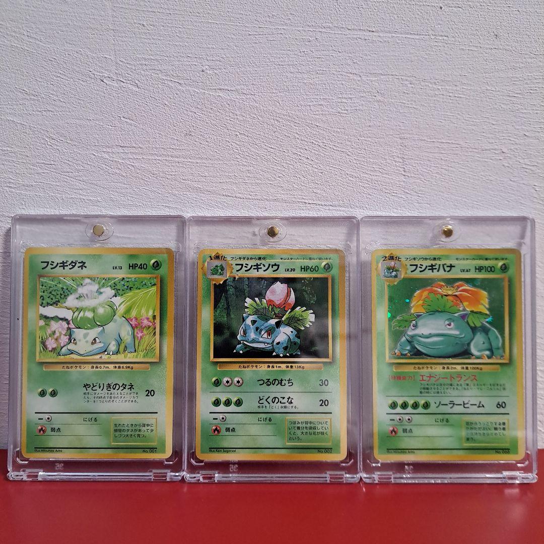 ポケカ　旧裏マークなし　フシギダネ　フシギソウ　フシギバナ　進化3点セット