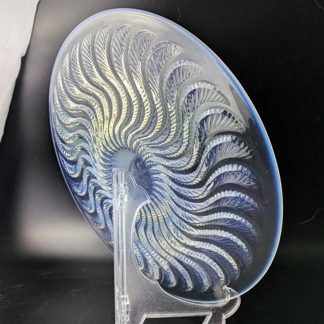 ルネ ラリック オパルセント皿 アクティニア イソギンチャク 1933年頃作品