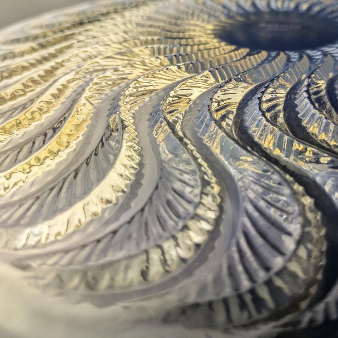 ルネ ラリック オパルセント皿 アクティニア イソギンチャク 1933年頃作品