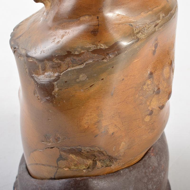 天然石　鑑賞石　安倍川　鉄丸石　置物　唐木台付　C　R7096