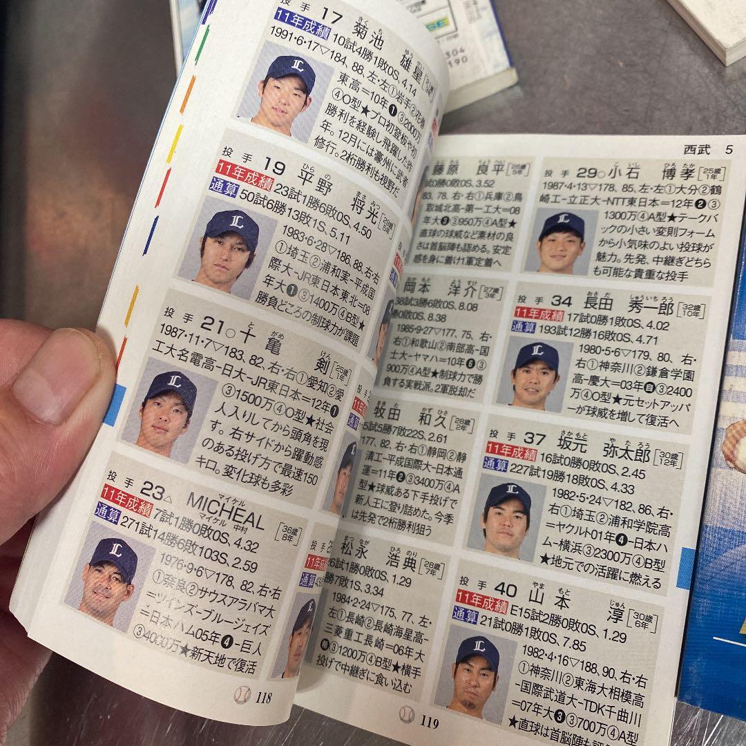 2010〜2013年までのプロ野球選手ガイドブック