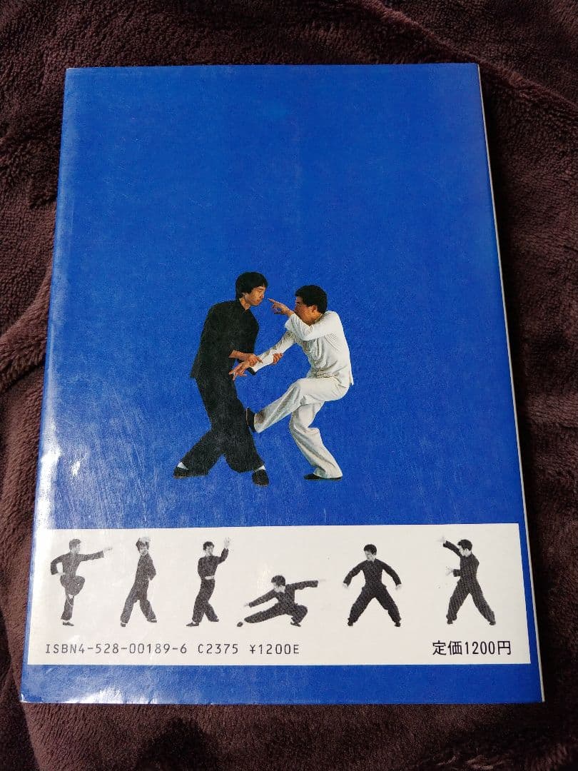 神秘の拳法 八卦掌入門 松田隆智 高橋賢 日東書院