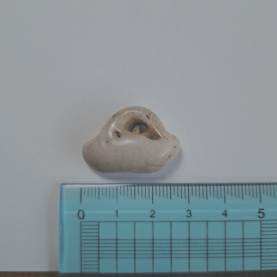 イルカの耳骨【大きさ2.7㎝ ④】