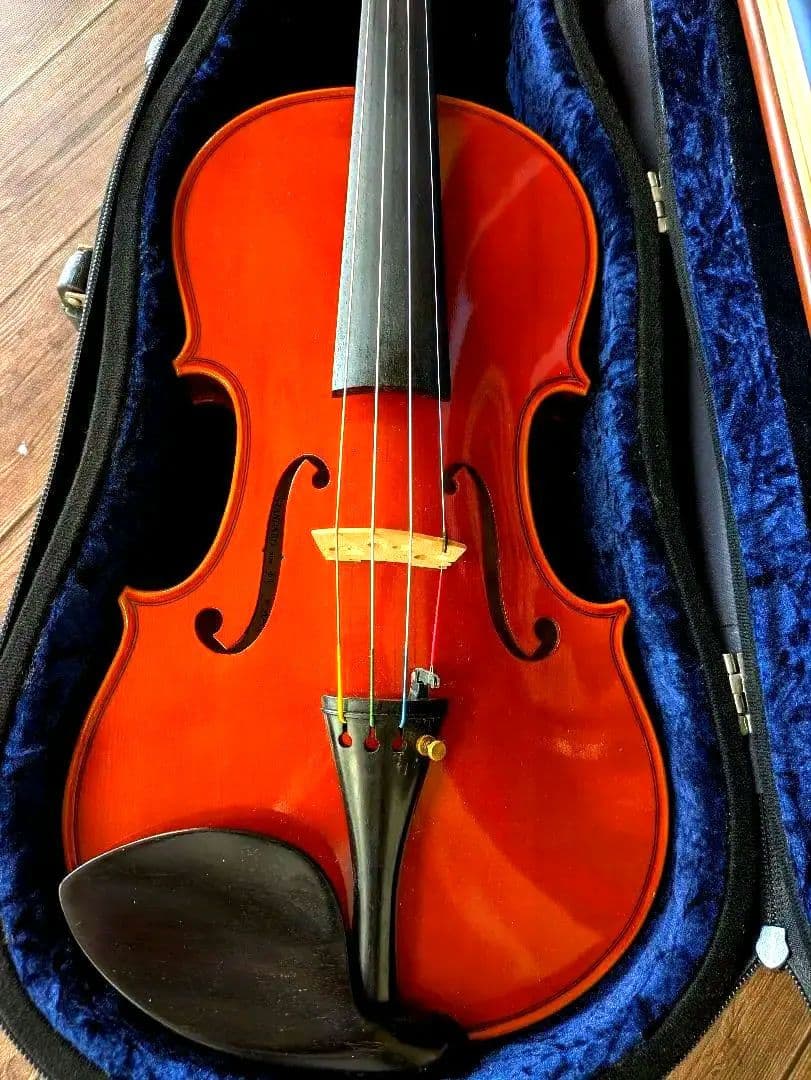 あゆみPygmalius Derius Giapponese 4/4