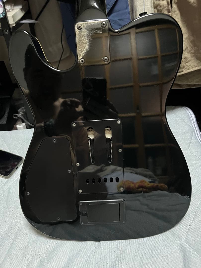 Fernandes TEJ サスティナー　最初期