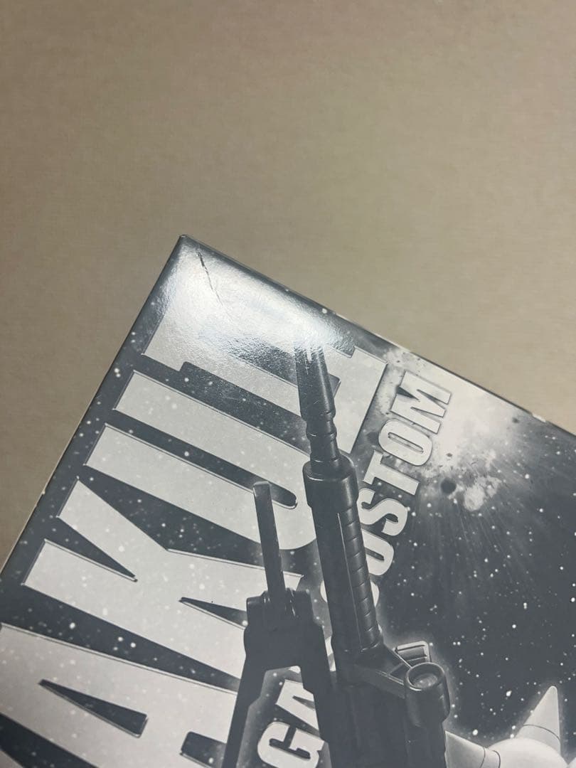 MG 1/100 シンマツナガ専用ザクII(カスタムタイプ)