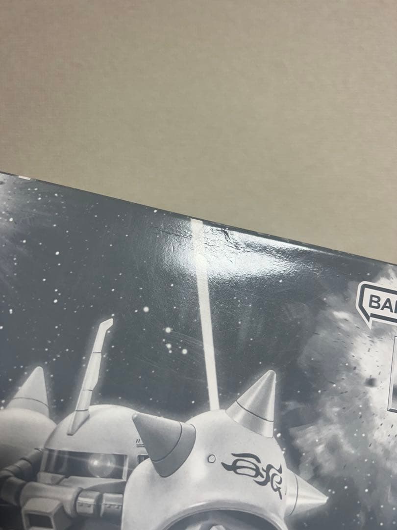 MG 1/100 シンマツナガ専用ザクII(カスタムタイプ)