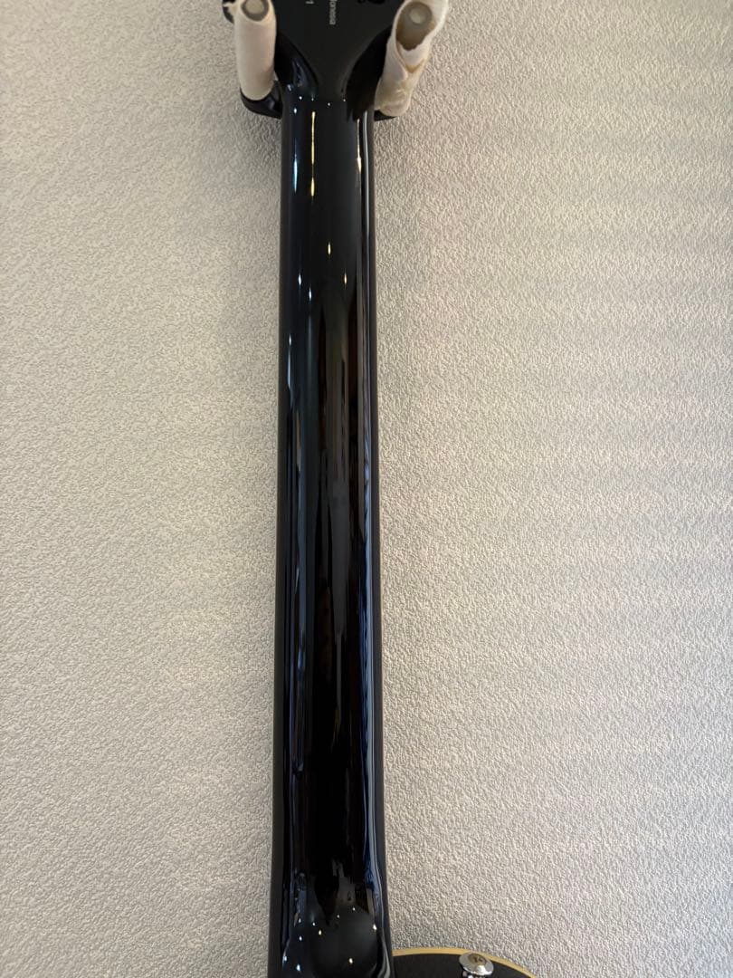 ギター Paul Reed Smith SE Mark Tremonti PRS