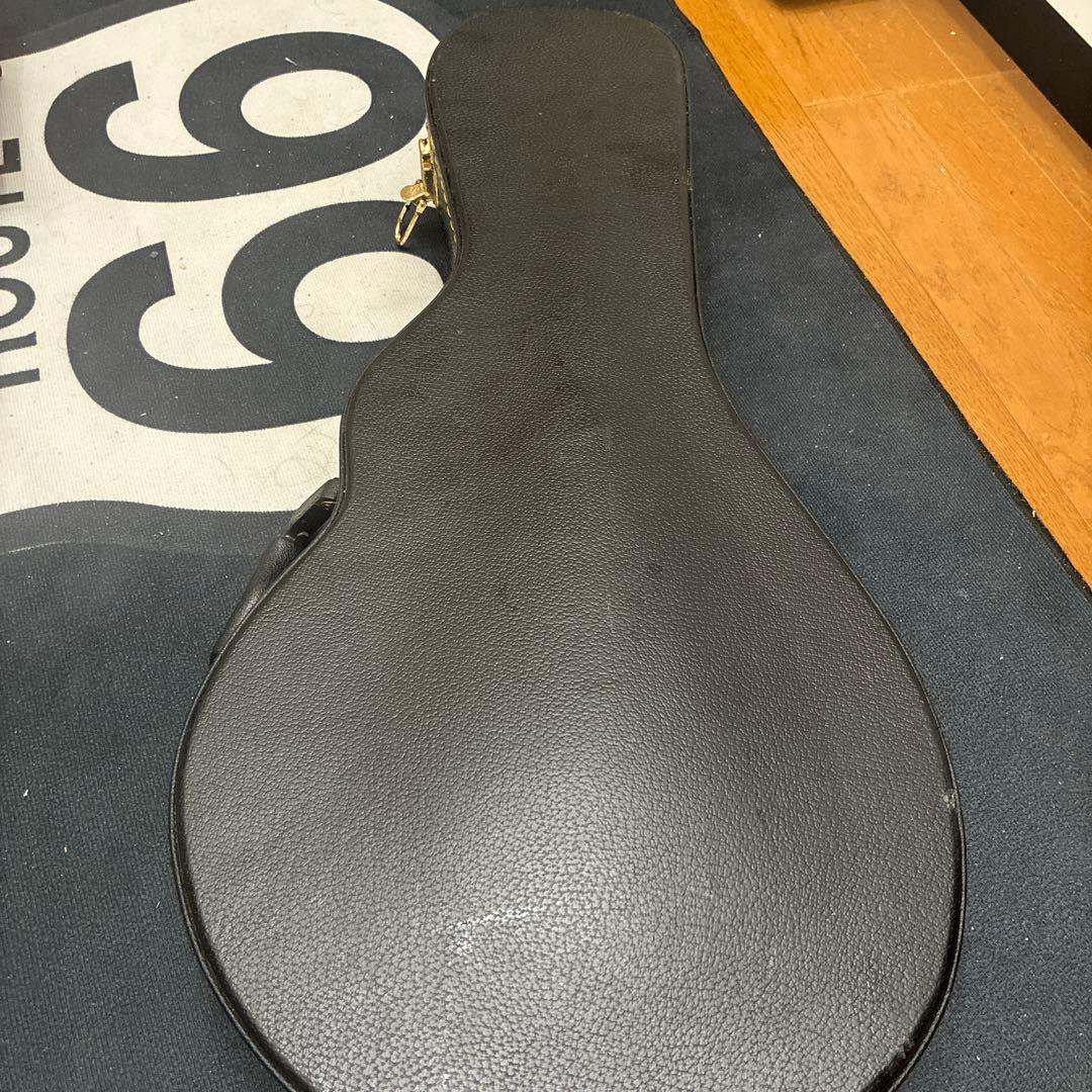 Savannah フラットマンドリン　ハードケース付き