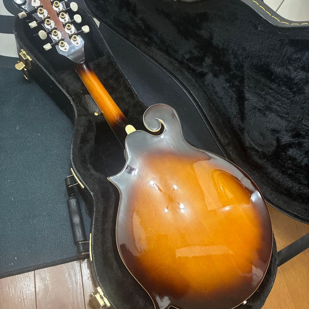 Savannah フラットマンドリン　ハードケース付き