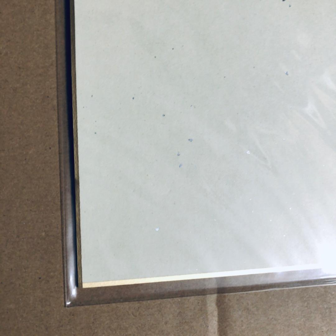 サイン入り 複製色紙 しらたま たまトーク2018 しらたまこ ふわりちゃん