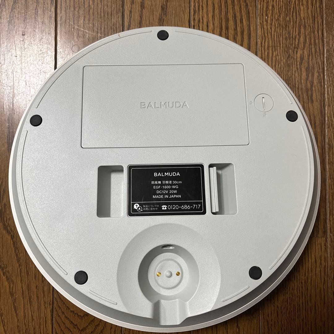 BALMUDA ザ・グリーンファン