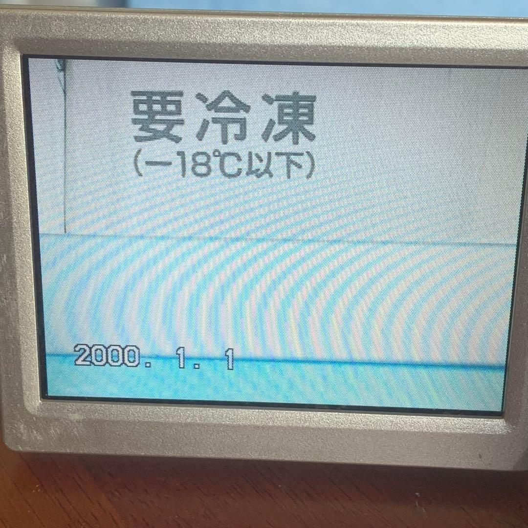 ジャンク パナソニック Panasonic NV-GS400 デジカム