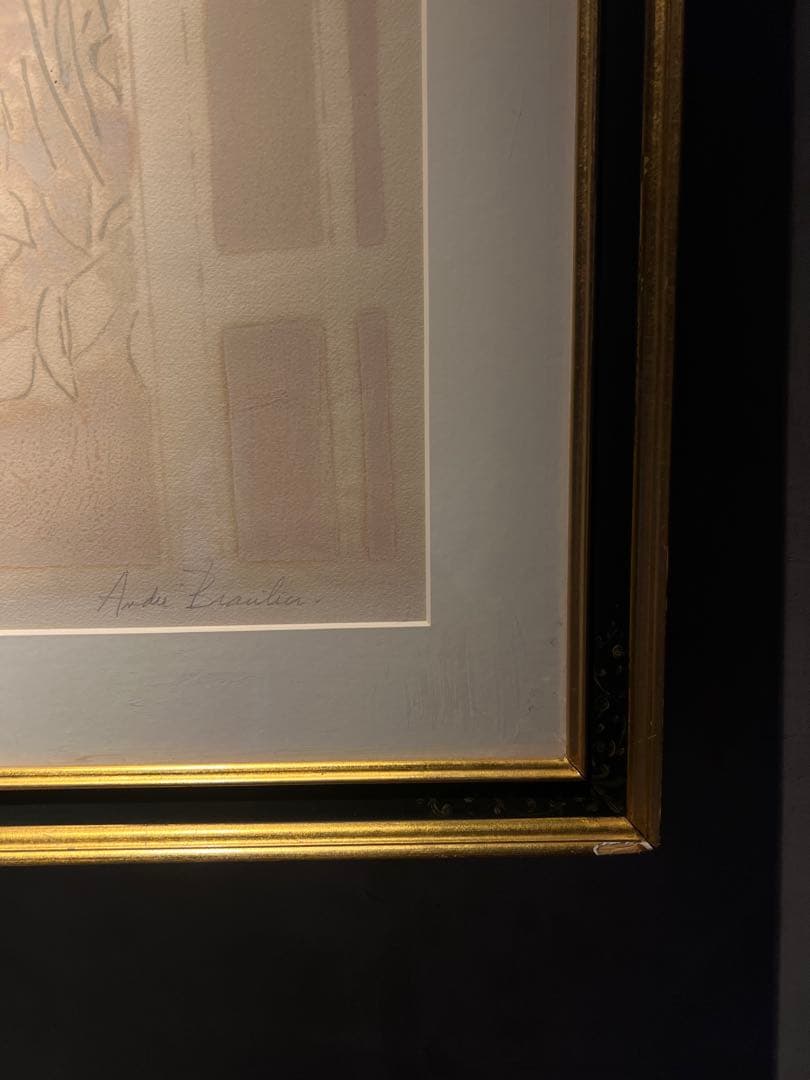 ブラジリエ　【秘密の庭】　lithograph