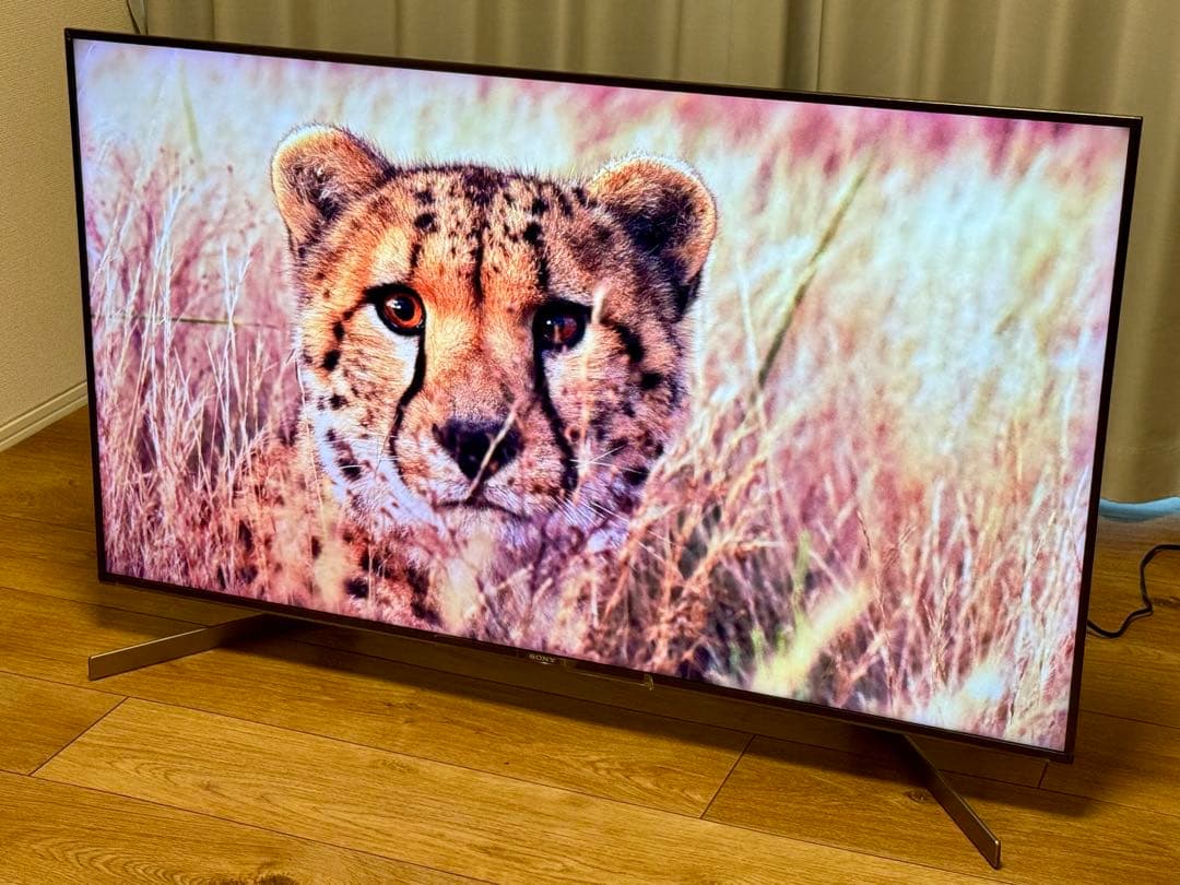 【SONY】KJ-49X9500G【美品】