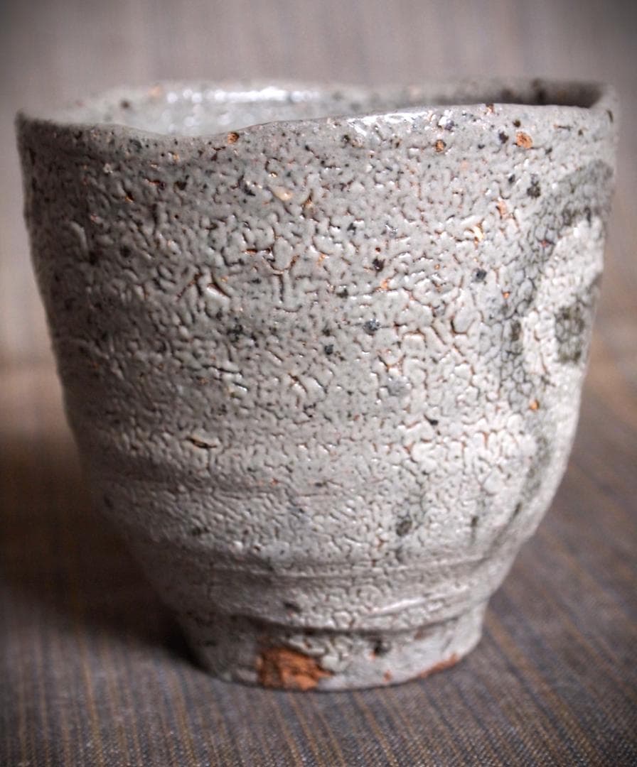 希少作★中川自然坊★絵唐津【窯変】焼酎杯★☆共箱・栞