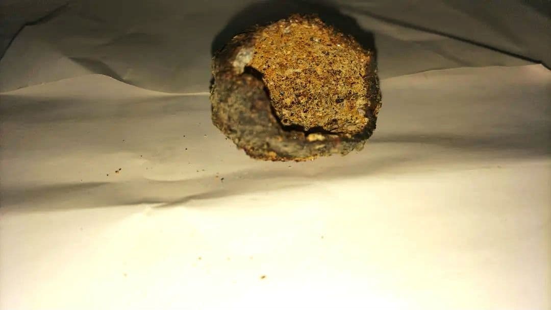 卵型のなんだか分からん石