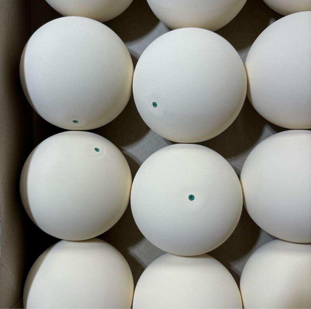 ソフトテニス ボール 10ダース 120球 新品