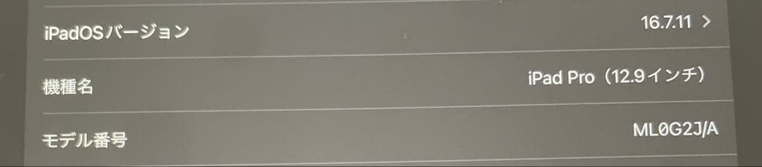 iPad Pro (12.9インチ) 本体
