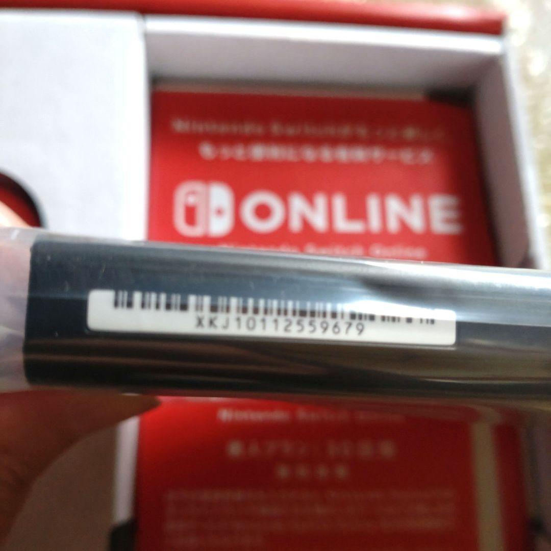 か*げ様 Nintendo Switch 付属品全部セット　確認の為開封のみ