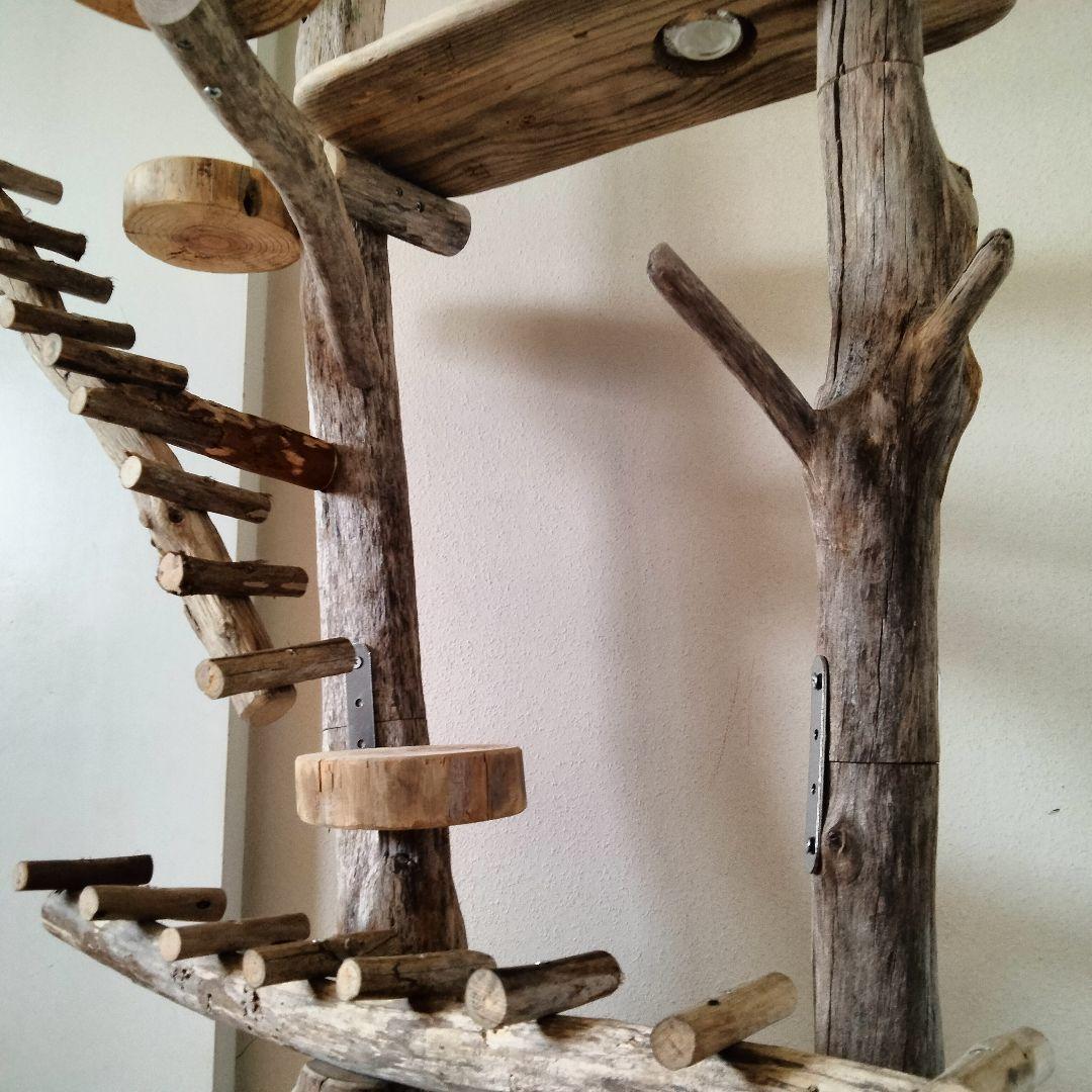 ことり バードアスレチックジム大型 天然木 自然木 流木 止まり木 インコ