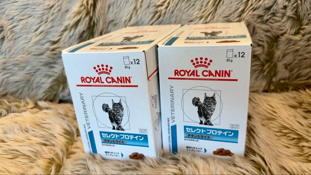 【めい】ロイヤルカナンセレクトプロテイン ウェット12個入り5箱