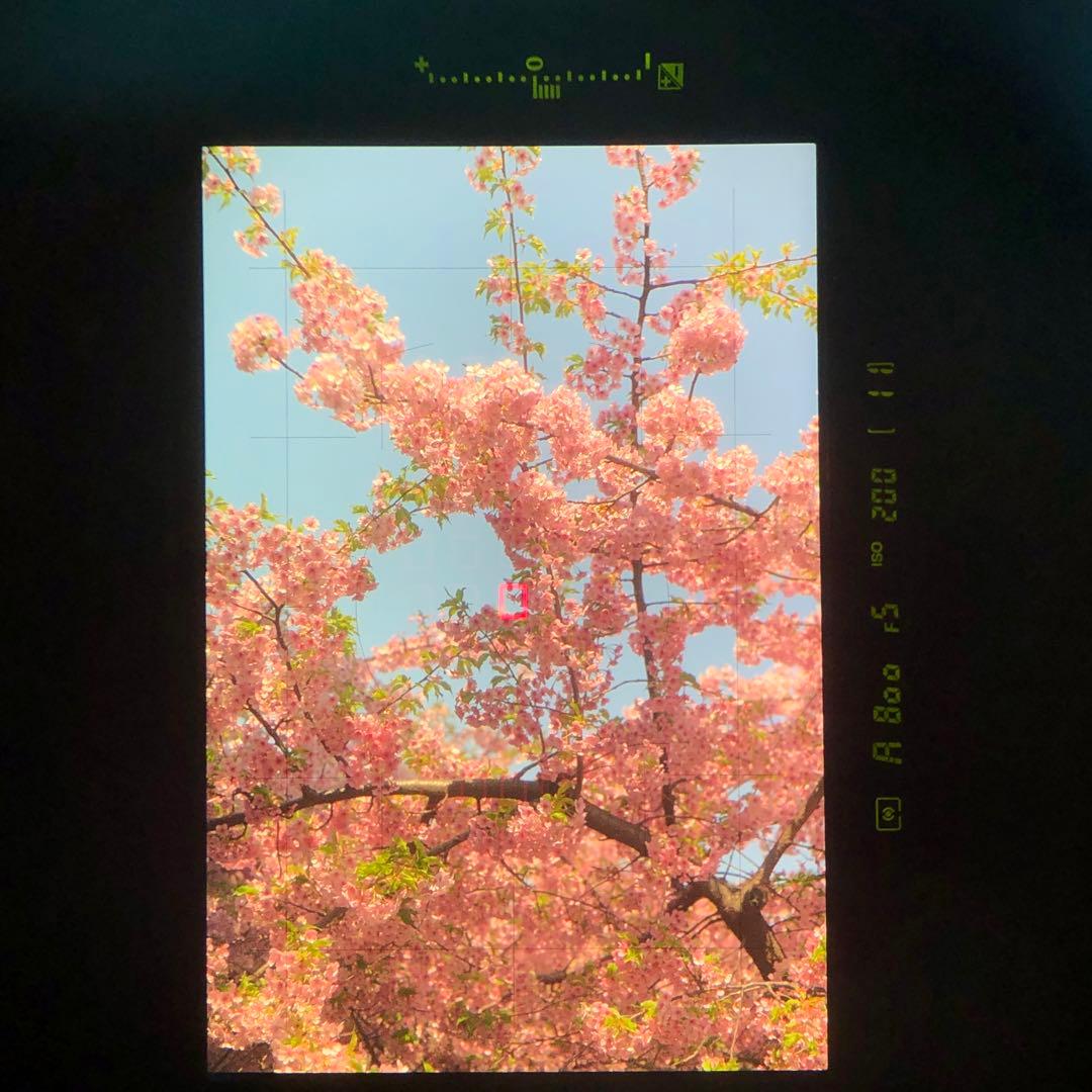 作例あり AF NIKKOR 70-210mm f4 中望遠レンズ 実用品