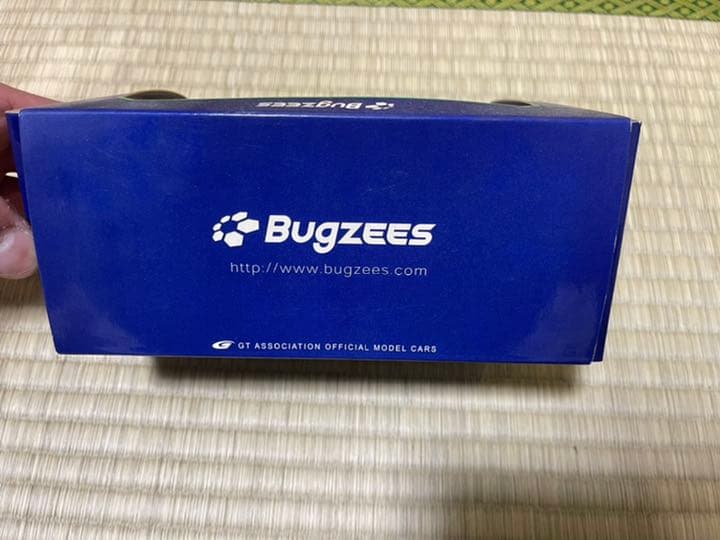 2010 SUPER GT GT300 EVAコラボ