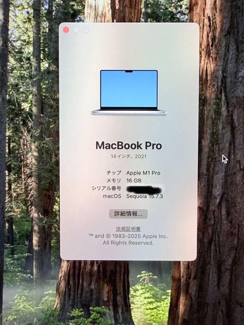MacBook Pro M1Pro 16GB/512GB バッテリー100％