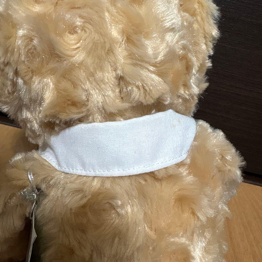 新品タグ付き　江ノ電ベア　神奈川限定　ご当地ベア　ぬいぐるみSサイズ　テディベア