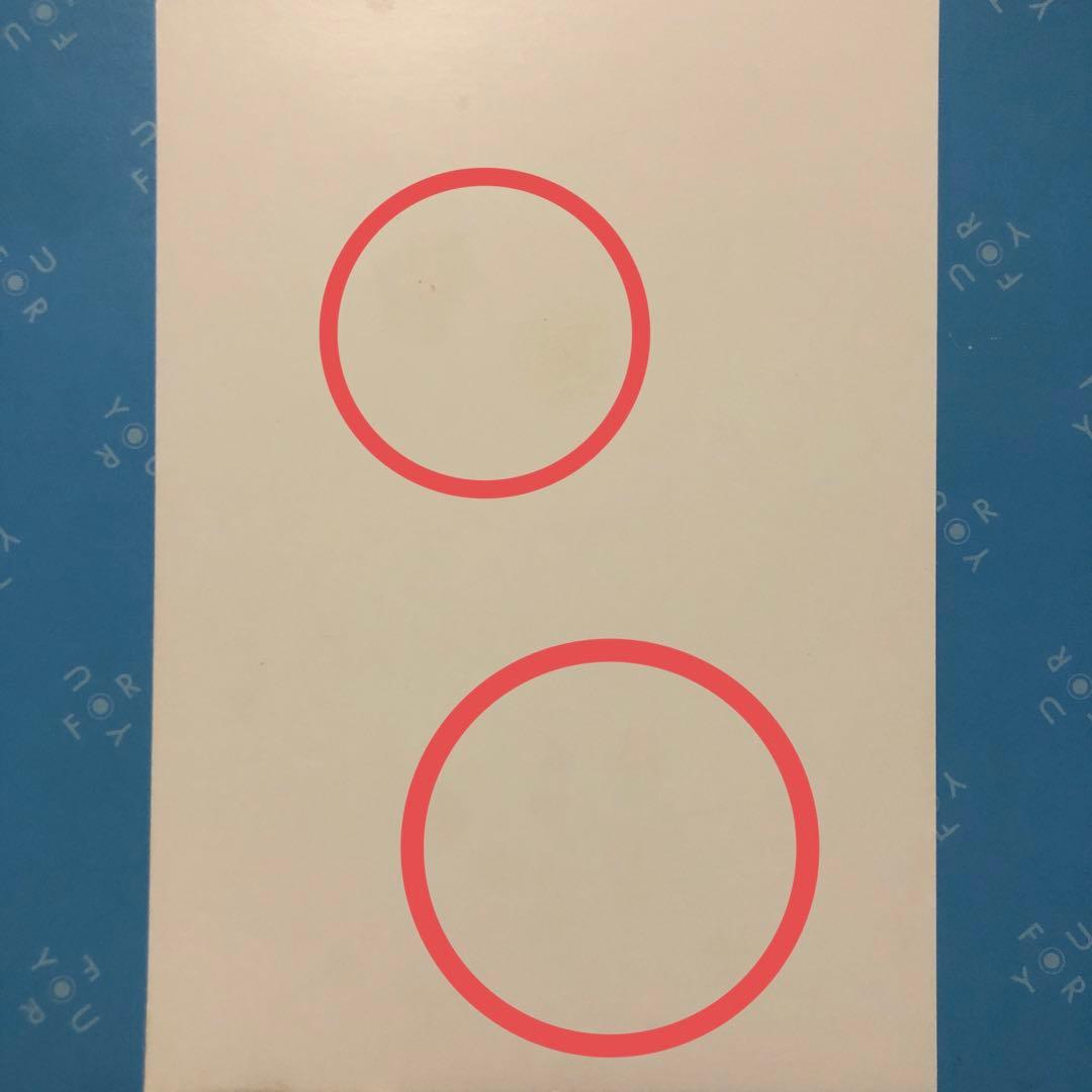 特典ペーパー　隣人を愛せよ！　野良猫は愛に溺れる　破談前提、身代わり花嫁は堅物