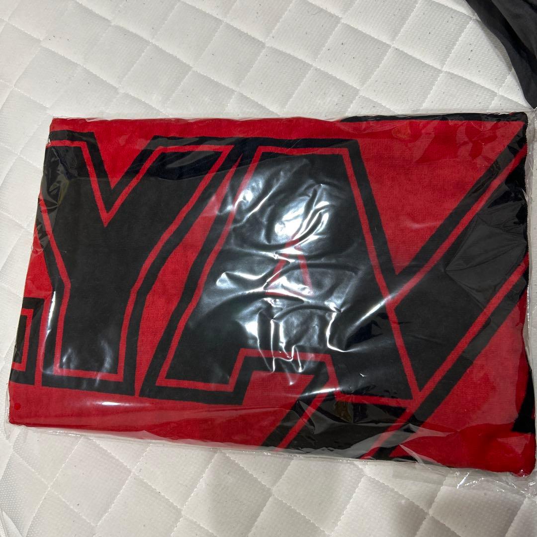 m*o様 矢沢永吉/ スペシャルビーチタオル　レッド YAZAWA