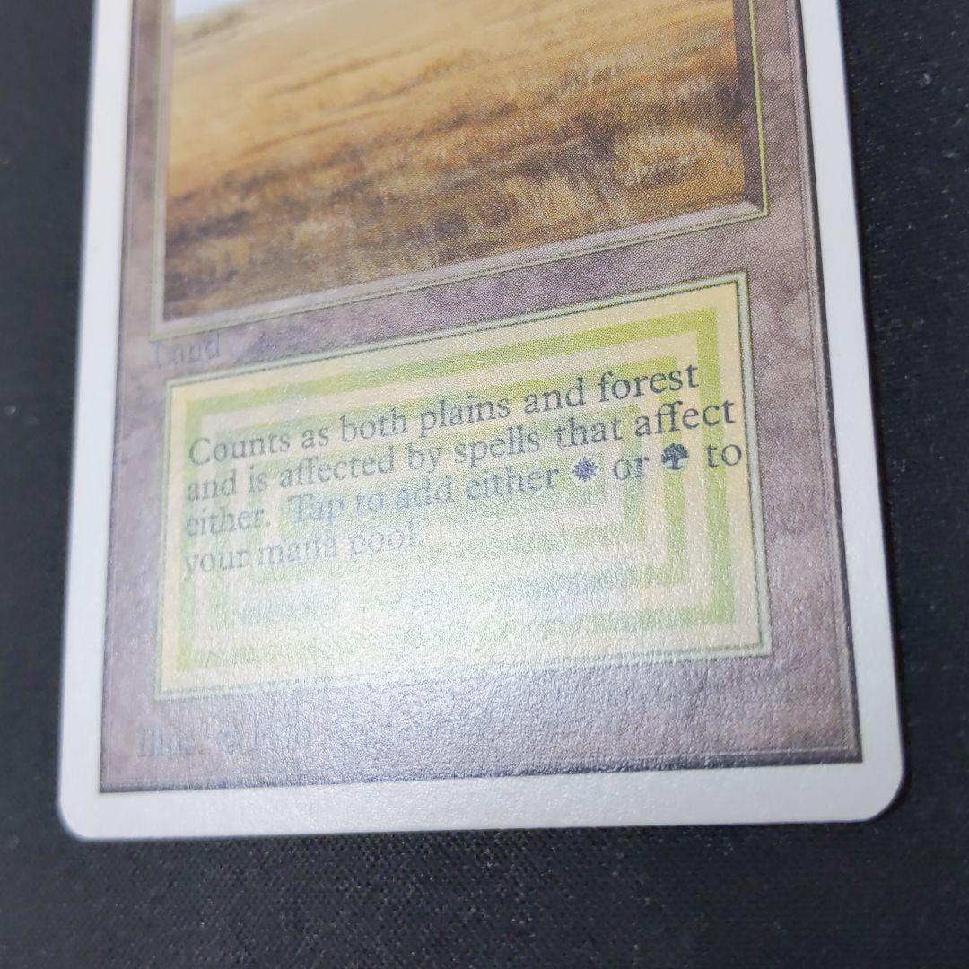 ●【貴重】【やや擦れアリ】Savannah　２ED　英語１枚