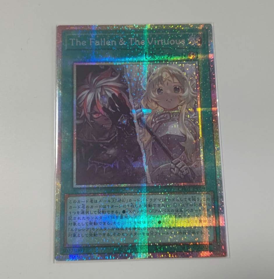 【即購入OK】 The Fallen & The Virtuous プリシク