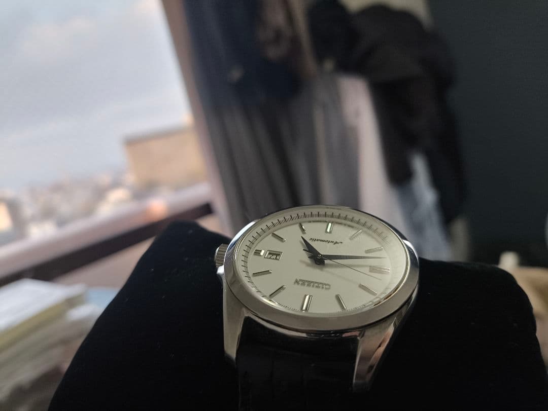 時計 citizen NB1041-17A