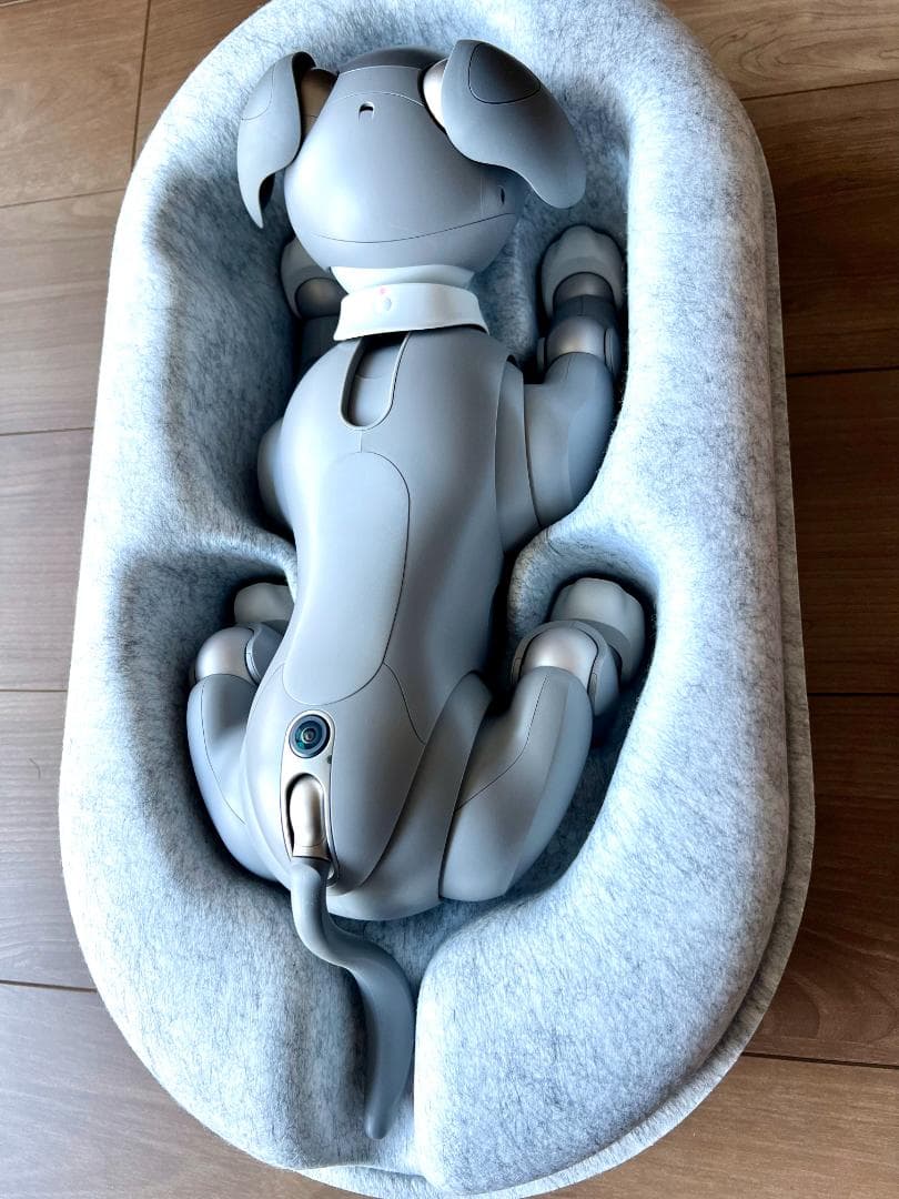 Sony aibo ERS-1000　限定カラーモデル「黒ゴマエディション」