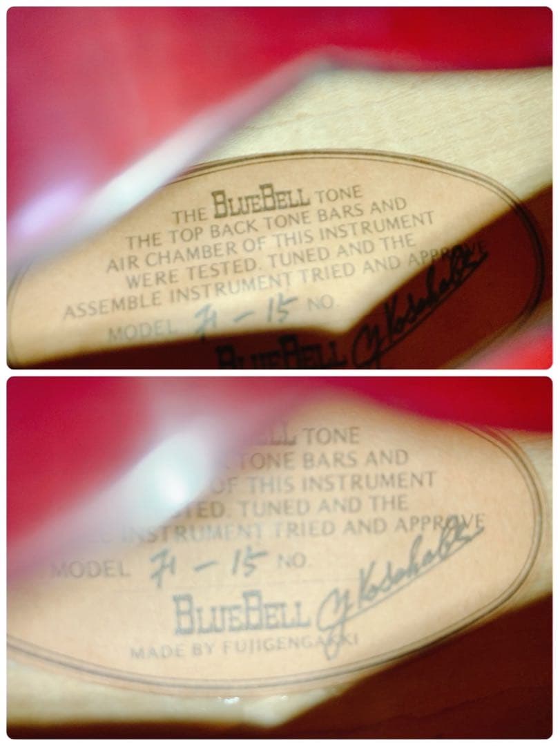 【希少】BlueBell フラットマンドリン 高級 F-15 小坂部氏サインあり