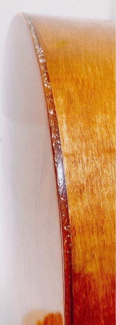 【超希少 メンテ済】L.PATENOTTE Lutheir マンドセロ 12弦