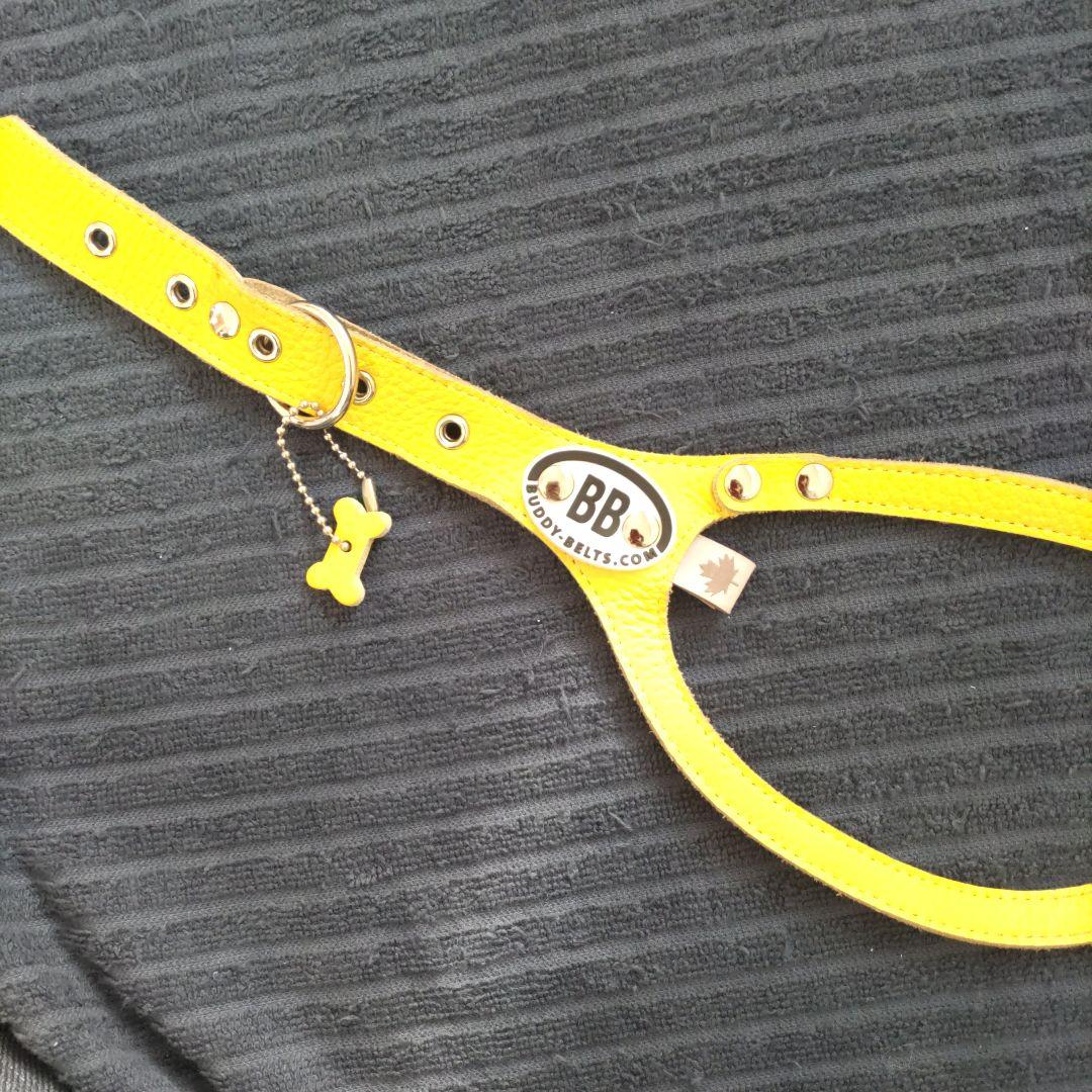 バディベルト ６号BBベルトハ－ネス！チャ－ム付き カナリアイエロー