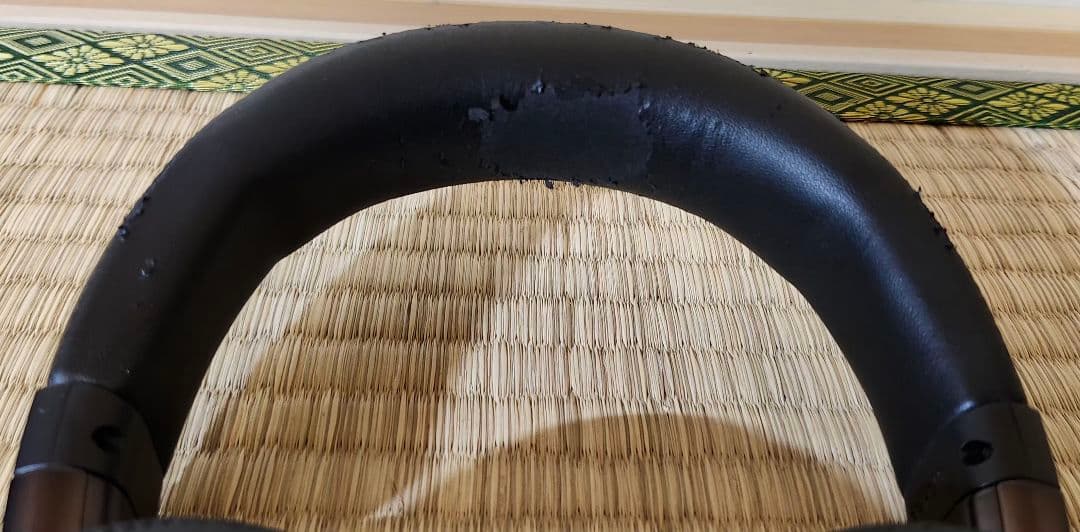 Panasonic RP-HD10【動作確認済み】