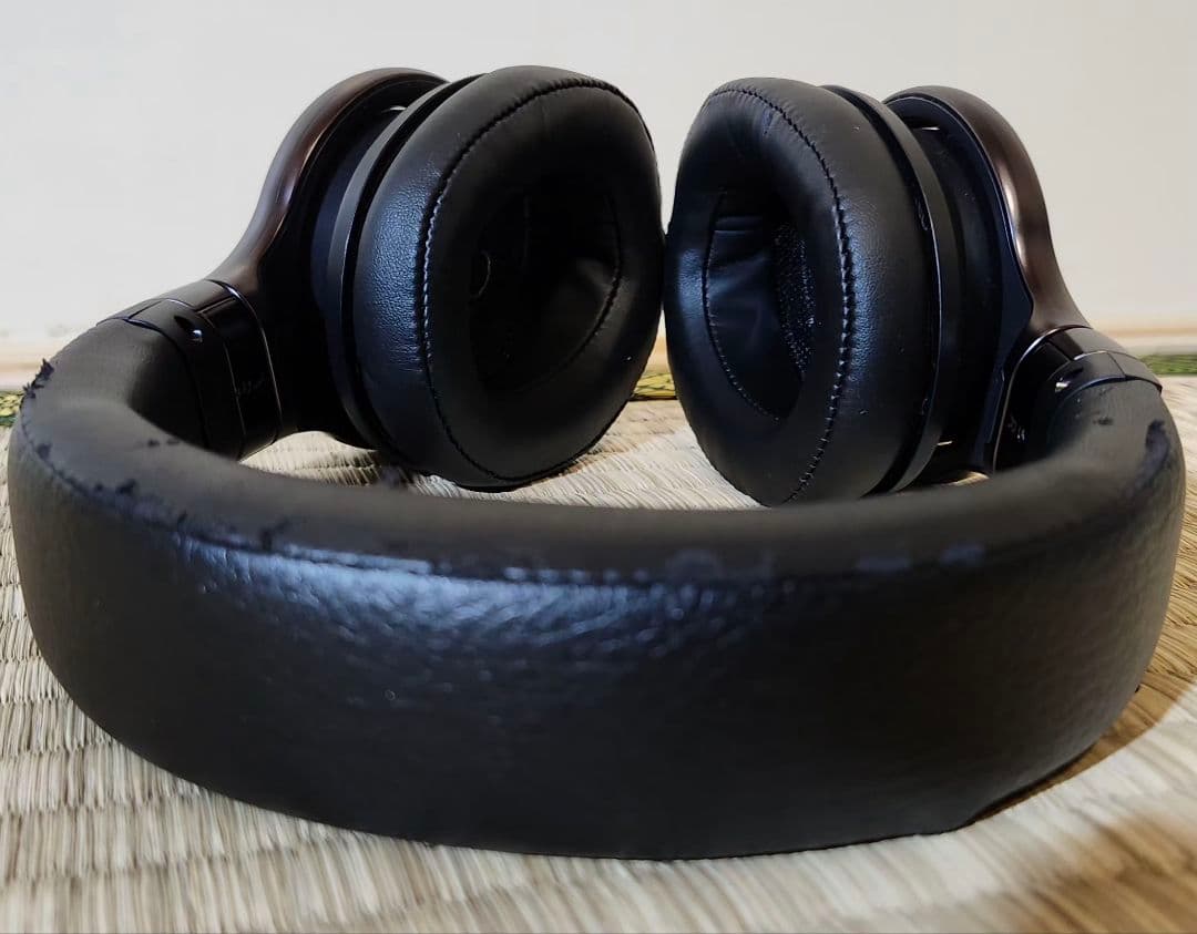 Panasonic RP-HD10【動作確認済み】