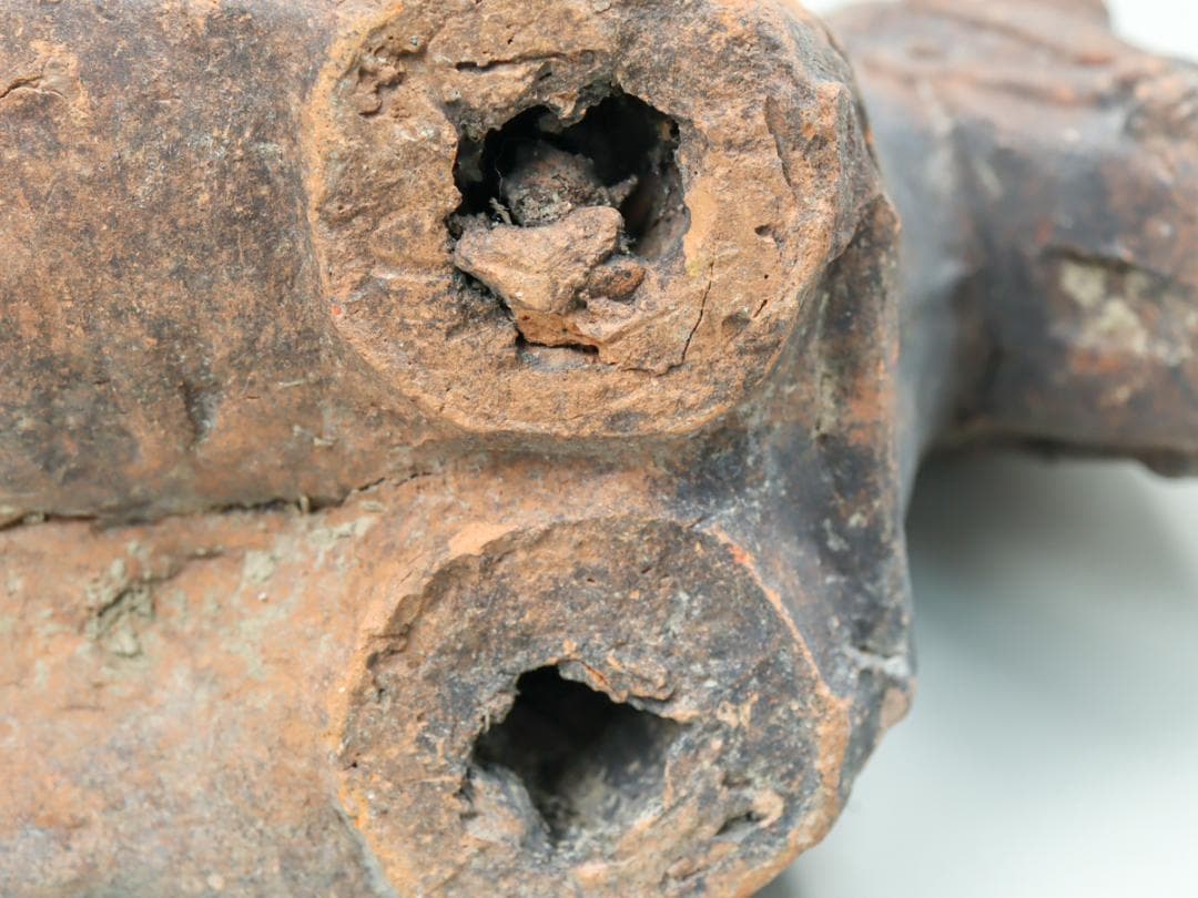 埴輪馬 発掘 土器 古墳 動物埴輪 ハニワ