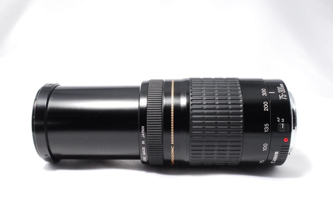 イベントやスポーツにも❤️ EF 75-300mm F4-5.6 II ❤️望遠