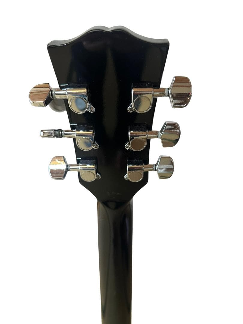 ソフトケース付き　Grassroots グラスルーツ　INORAN