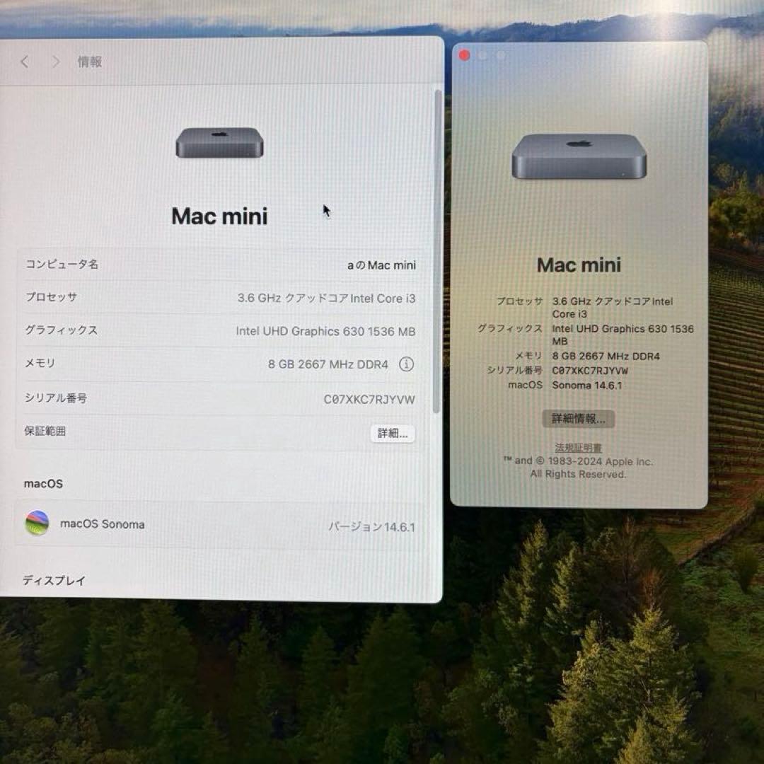 eriiiii 様　Apple Mac mini